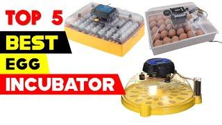 Top 5 Best Egg Incubators Reviews for 2024