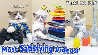 Most Satisfying Videos! Part2 | That Little Puff