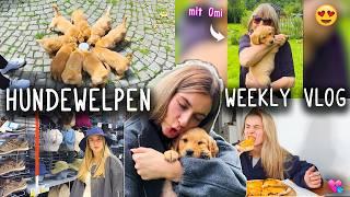 9 HUNDEWELPEN mit OMI kuscheln ️ Reisepass vergessen  Week in my Life - Vlog