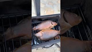 Карпы горячего копчения #рыба #копчение #карп