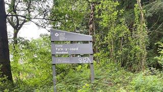 New DH Trails - Ty'n-y-coed, N Cardiff