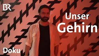 Das Gehirn - die wichtige Schaltzentrale: Aufbau, Funktion & Wesen | Sehen statt Hören | Doku | BR