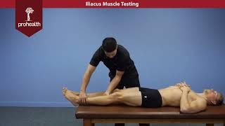 Iliacus Muscle Test Palpation Dr Vizniak Muscle Manual