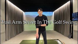 Trail Arm In The Golf Swing
