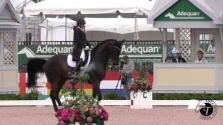 Kasey Perry's Grand Prix Special Riding in the Tota Comfort Noseband