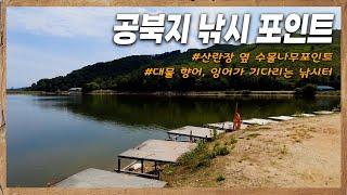 충북 청주 "공북지" 낚시 포인트를 소개합니다! 맑은 물과 다양한 어종이 나오는 유료 낚시터에서 힐링낚시 즐겨보세요[전국낚시포인트]