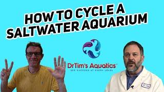 Dr. Tim's reveals HIS 7 steps to cycle a saltwater tank