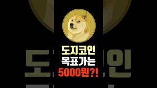 도지코인 목표가 5000원?! 밈코인의 대장자리는 지켜질 것이다!