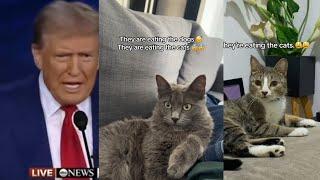 They're eating the dogs | They're eating the cats | Cat reaction compilation | Donald Trump