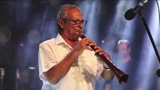 Hasan Çakan - Milas Festival Performansı 2022