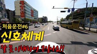 ‍️‍️운전시작하기 전 꼭 보세요!!/운전학원에서 못 배우는 실전 신호 체계!! /신호등 이해하면 안전운전할 수 있어요 |처음운전#6 |