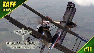 Rise of Flight | No.4 Squadron - Sopwith Pup  | Doing What We Do!