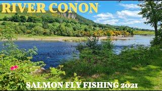 The River Conon - Salmon Fly Fishing scotland - 2021