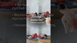4 упражнения ДЛЯ СПИНЫ, чтобы РАСПРАВИТЬ ПЛЕЧИ и глубоко ВДОХНУТЬ