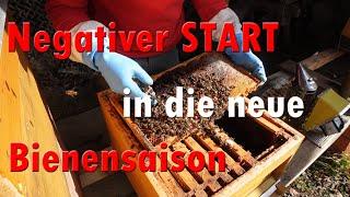 Negativer Start in die Bienensaison