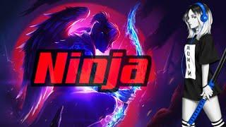 The #1 Ninja Guide #raidshadowlegends