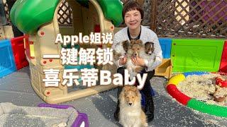 一键解锁喜乐蒂Baby