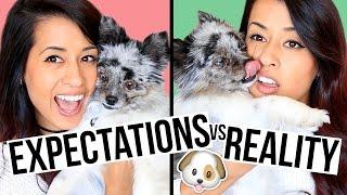 Expectations vs. Reality: Having a Dog | Ariel Hamilton