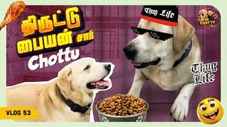 Chottu KD வேலைய Start பண்ணிட்டான் | திருட்டு பையன் சார் Chottu  | Vlog 53 | Mr.Chottu