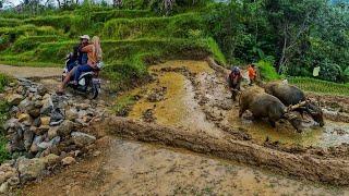 NIAT KURING SILATURAHMI KE KAMPUNG CEP IMAN YANG INDAH ALAM DESANYA, MENIKMATI HIDUP DI DESA