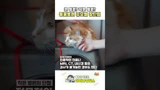 큰병원? 작은병원?