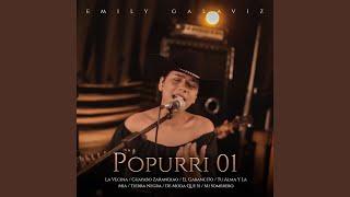 Popurri 01: La Vecina / Guayabo Zarandiao / El Gabancito / Tu Alma Y La Mia / Tierra Negra / De...