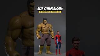 Size Comparison: Hot Toys Marvel Studios Avengers Age of Ultron - Hulk #marvel #hottoys