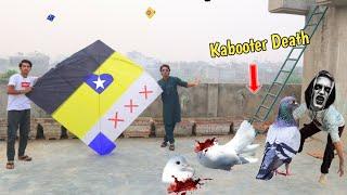 Kite Flying & Cutting Vs Bhoot Mask Kabooter Catch Nasir