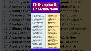 50 Examples Of Collective Noun #Ytshorts