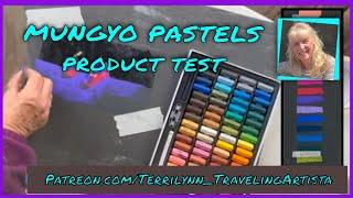 ABSOLUTE BEGINNER PASTELS * product review * Mungyo & Sandpaper