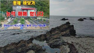 812.동해바다 접한1선 토지 농막별장 소개 합니다