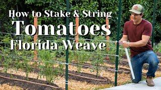 How To Stake and String Tomatoes and Tomatillos with the Florida Weave