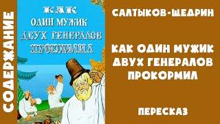 Краткое содержание "Повесть о том, как один мужик двух генералов прокормил" - Михаил Салтыков-Щедрин