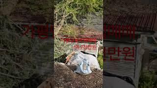 산 자락 아래 대지234평