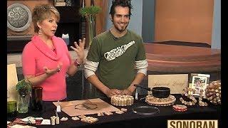 Sonoran Living Live on abc 15 - Cork Crafts