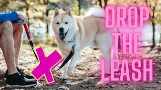 Leash Laws are Bad for Your Dog's Health // Stop Anti-Dog Laws