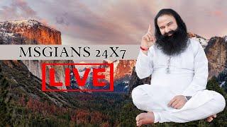 MSGians  | Dera Sacha Sauda Live Satsang