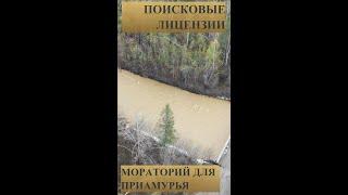 Приамурью удалось добиться моратория на выдачу поисковых лицензий для золотодобытчиков