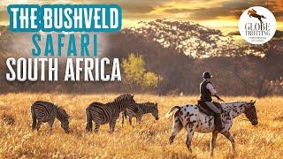 The Bushveld Safari, South Africa | Horse Riding Holidays | Globetrotting