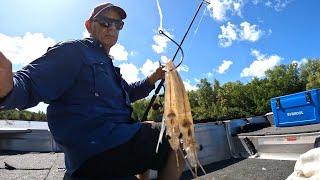 CATCH FISH the EASY WAY | Secret to Barramundi Fishing Action! | LIVE PRAWNS