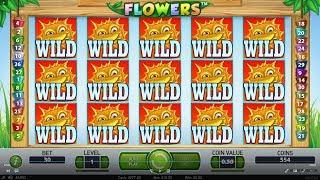 Hacking into online casino slot machine Flowers - MAX WIN