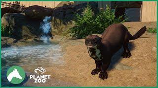 Giant Otter Habitat | Small Mammal House | Elm Hill City Zoo | Planet Zoo