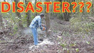 Felling Trees with no Wedges | Failure at the end