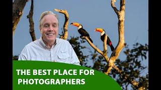 Top Lodge for Wildlife Photography in Pantanal - SouthWild