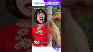 LỚP HỌC DIỄN XUẤT ĐẦU ĐỜI KIỂU