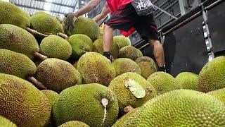 Fruits Heaven! Amazing Thai Fruits Cutting Skills