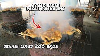 GOKIL 200 EKOR LUDES DALAM SEHARI !!