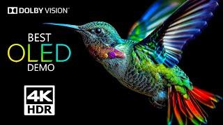 OLED Demo 4K HDR 120 fps Dolby Vision - (4K Video) ULTRA HD