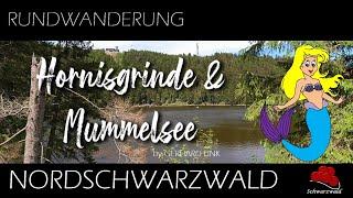 HORNISGRINDE UND MUMMELSEE / DER SCHWARZWALD     