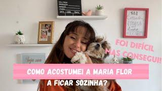 COMO DEIXAR MEU CACHORRO SOZINHO | dicas para acostumar seu filhote